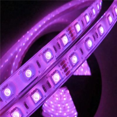 17W/M 5050 piscina impermeabile principale di wattaggio 12v 24V IP68 ha condotto le lampade fluorescenti