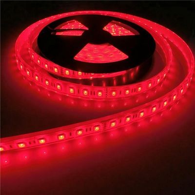 17W/M 5050 piscina impermeabile principale di wattaggio 12v 24V IP68 ha condotto le lampade fluorescenti