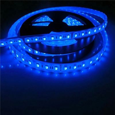 17W/M 5050 piscina impermeabile principale di wattaggio 12v 24V IP68 ha condotto le lampade fluorescenti
