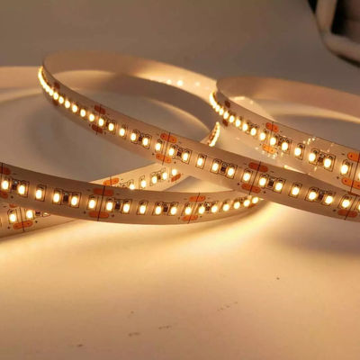 252LM/FT hanno condotto la striscia 5m Rgb 24V Tira 3528 strisce leggere flessibili