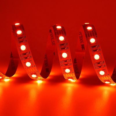 24V SMD 5050 Rgbw ha condotto la striscia 4 nelle lampade fluorescenti impermeabili calde di 1 luce bianca 5m per all'aperto
