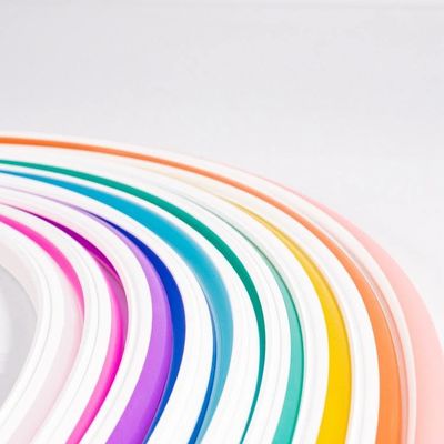 Segni su ordinazione leggeri al neon flessibili multicolori della luce della metropolitana del silicone LED 6mm 8mm 10mm 6500k