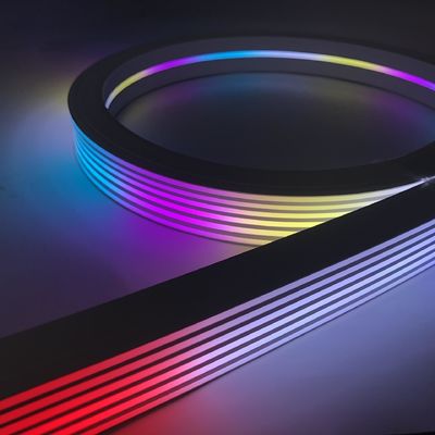3020 segni leggeri al neon di Ws2812b LED