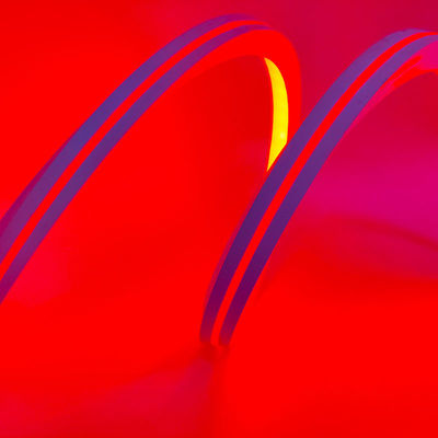 Il silicone indirizzabile 12v flette 5m che il sogno leggero al neon della striscia colora i RGB parole di 16MM X di 16 DIY