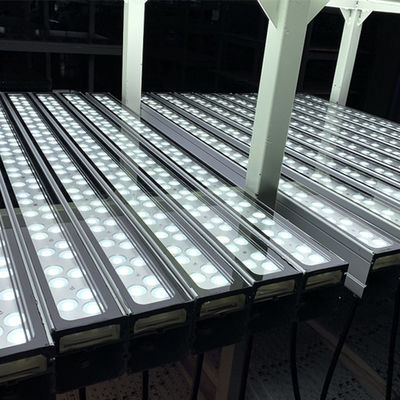 luce della facciata LED di colore della luce della rondella della parete di 108W IP65 LED singola