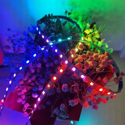 Di Rgb 5050 LED della striscia pixel principale indirizzabile flessibile individualmente 60 144