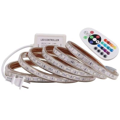 220V 60Led/M 5050 che il Rgb ha condotto la striscia 12v impermeabilizzano con il regolatore blu del dente