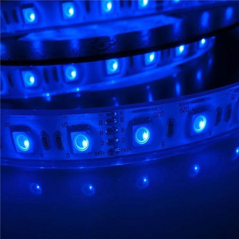 17W/M 5050 piscina impermeabile principale di wattaggio 12v 24V IP68 ha condotto le lampade fluorescenti