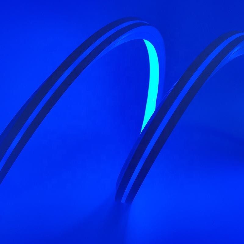 Il silicone indirizzabile 12v flette 5m che il sogno leggero al neon della striscia colora i RGB parole di 16MM X di 16 DIY