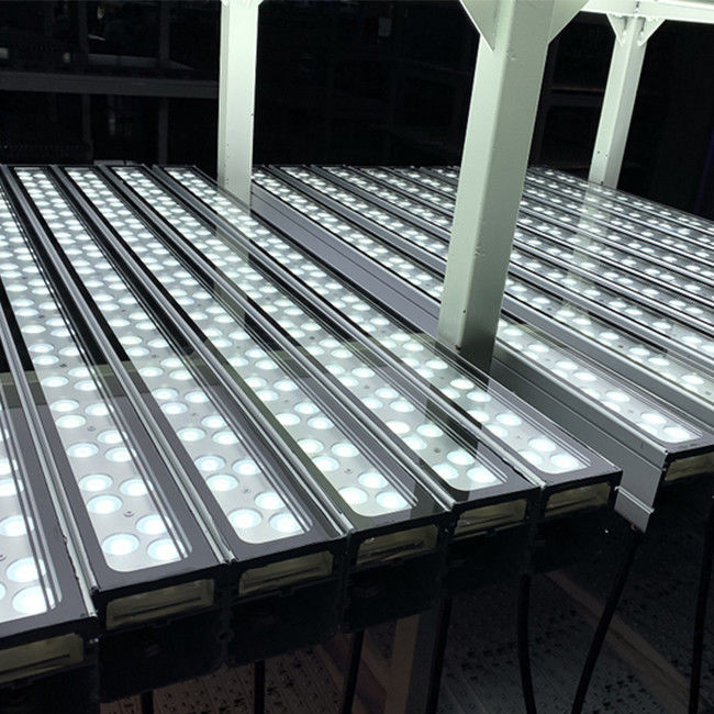 luce della facciata LED di colore della luce della rondella della parete di 108W IP65 LED singola